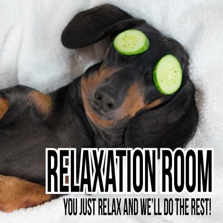 relaxation dog