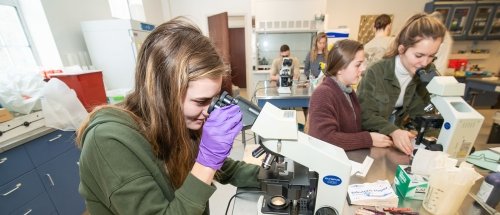 Norwich University MicroBiology Lab STEM PreMed