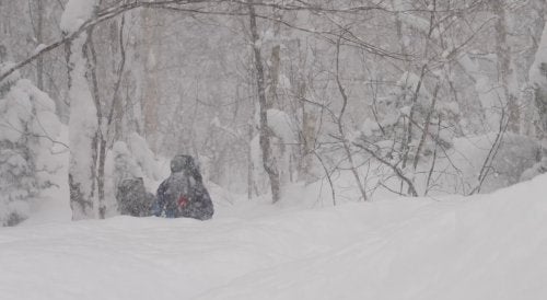 Two people sit in deep snow amid trees during a heavy snowfall with low visibility.