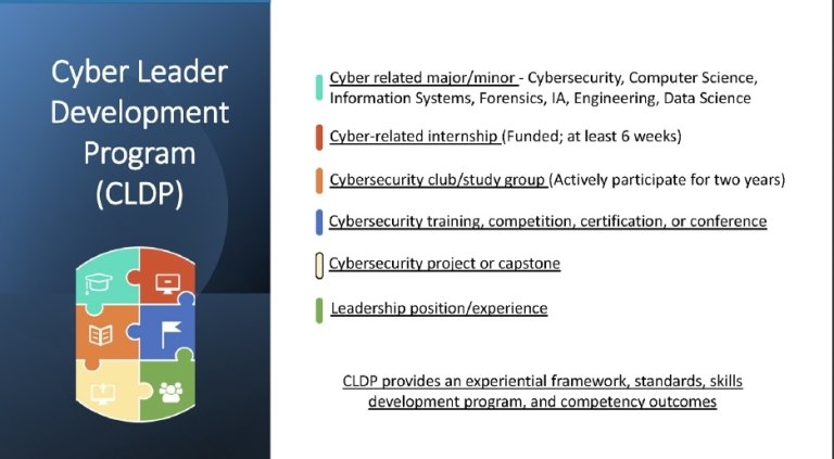 Cyber Leader Development Program