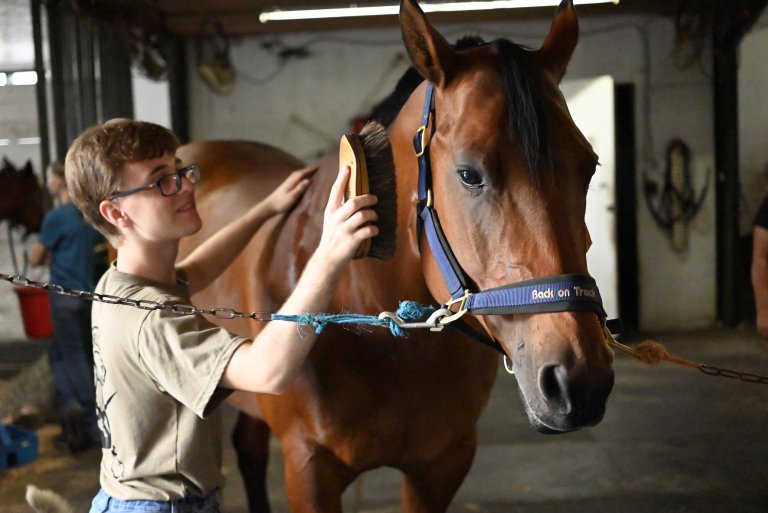 Cadet brushes a bay horse in a stable, grooming its coat while the horse stands tied in cross‑ties.